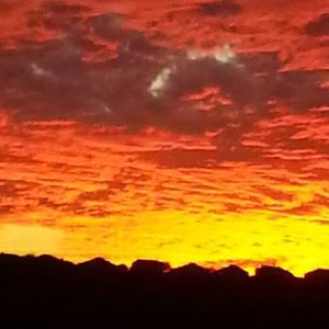 Meet your Posher, Larry carol